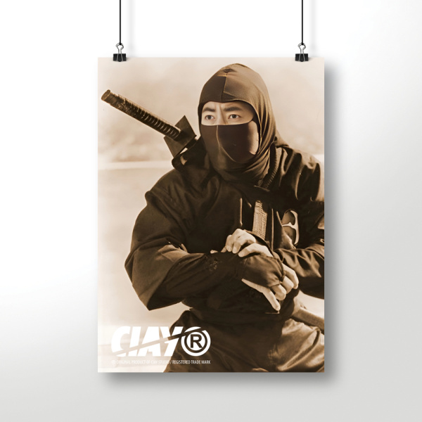 Постер Sho